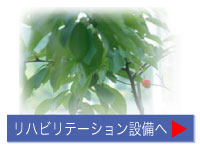 ���n�r���e�[�V����